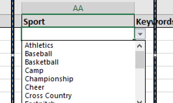Exporting JSON data from your ASP.NET Web API to a Microsoft Excel Spreadsheet using Macro Programming