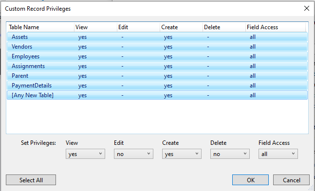 Custom-record-privileges-1 Custom-record-privileges-1
