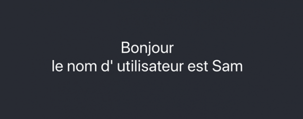 Bonjour11-624x246 Bonjour11-624x246
