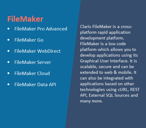 filemaker pro software development
